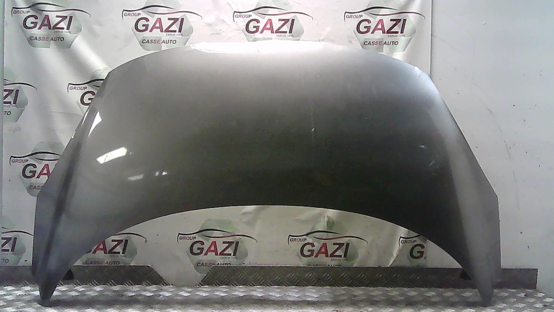 Capot RENAULT SCENIC 3 PHASE 1  - 1