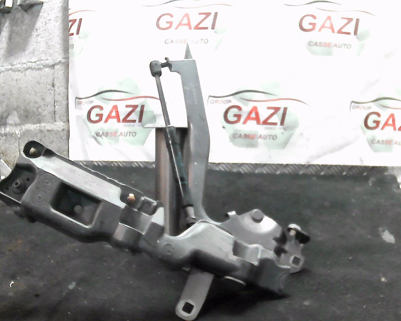 Charniere de capot RENAULT SCENIC 3 PHASE 1 Diesel - 1
