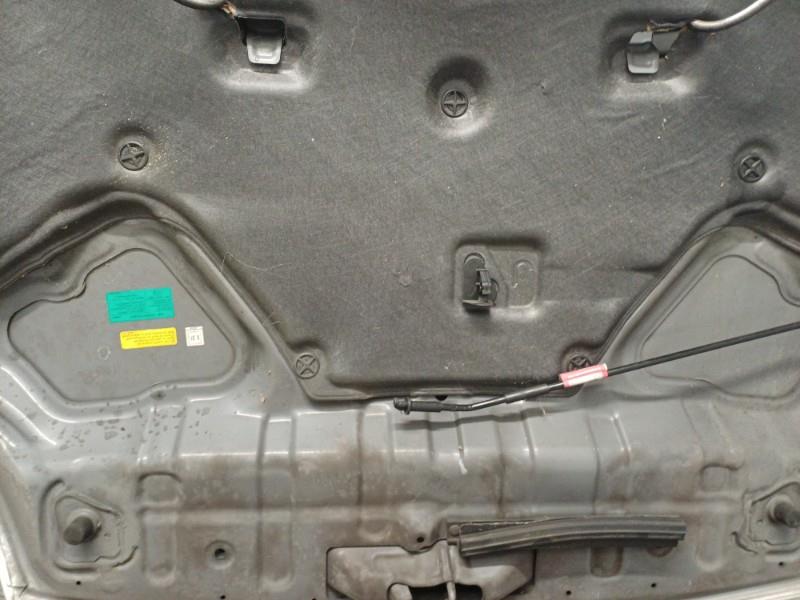 Capot NISSAN X-TRAIL 2 PHASE 1 Diesel - 1