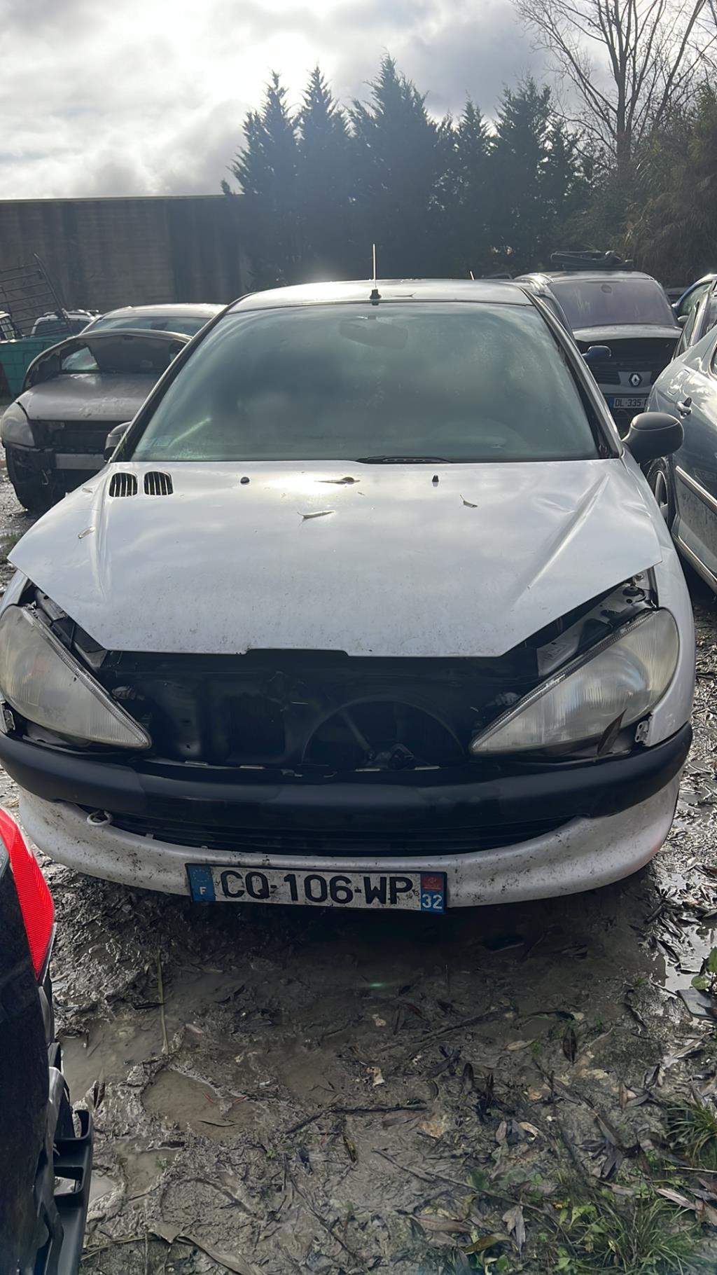 Pare soleil PEUGEOT 206 PHASE 1 Diesel - 1