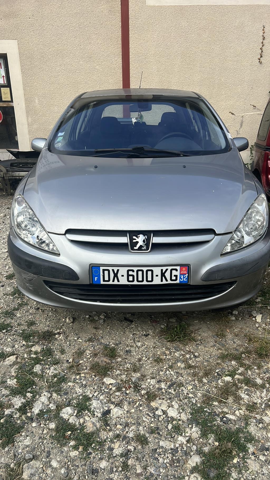 Pare soleil PEUGEOT 307 PHASE 1 Diesel - 1