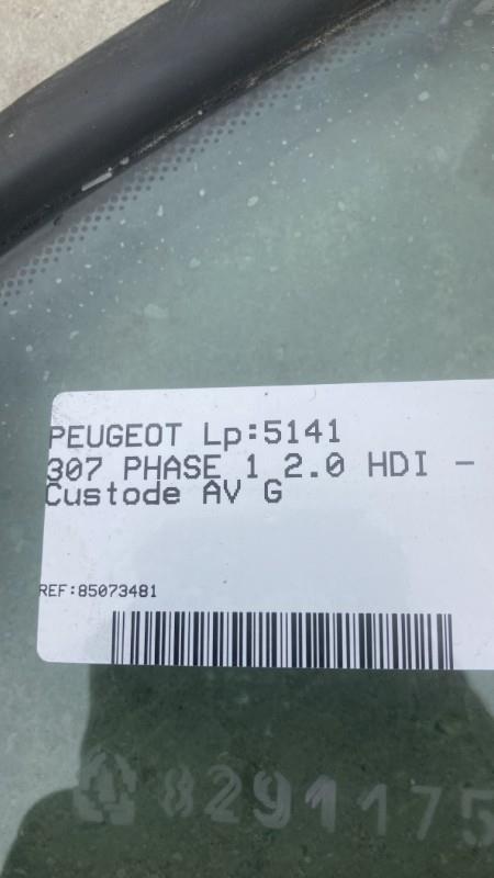Custode avant gauche (porte) PEUGEOT 307 PHASE 1 Diesel - 1