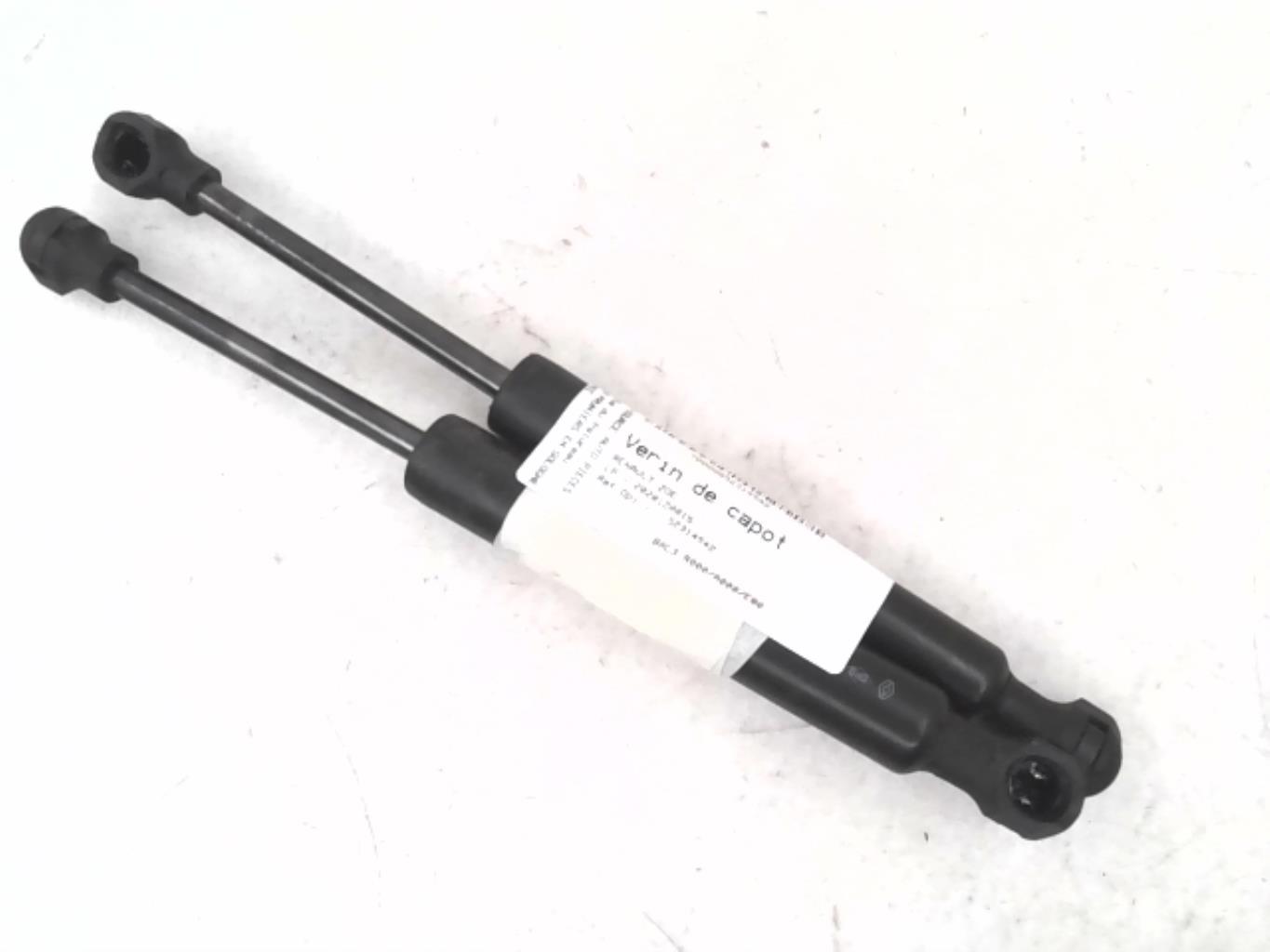 Molla a gas cofano RENAULT ZOE 1 Electricidad - 1