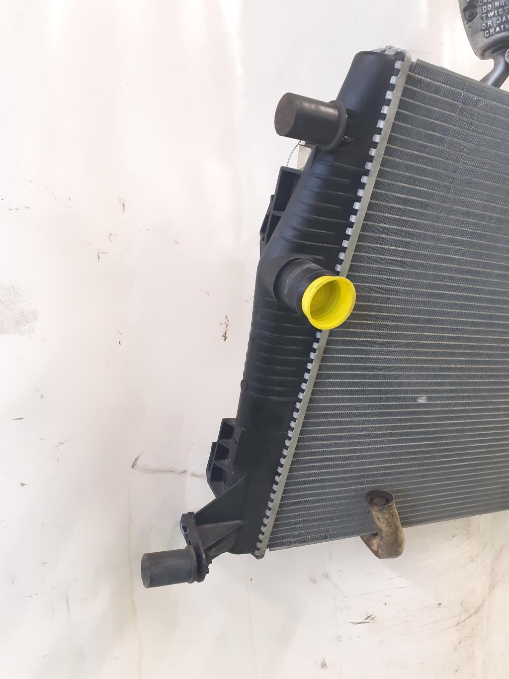 Radiateur eau RENAULT SCENIC 3 PHASE 1 Diesel - 1
