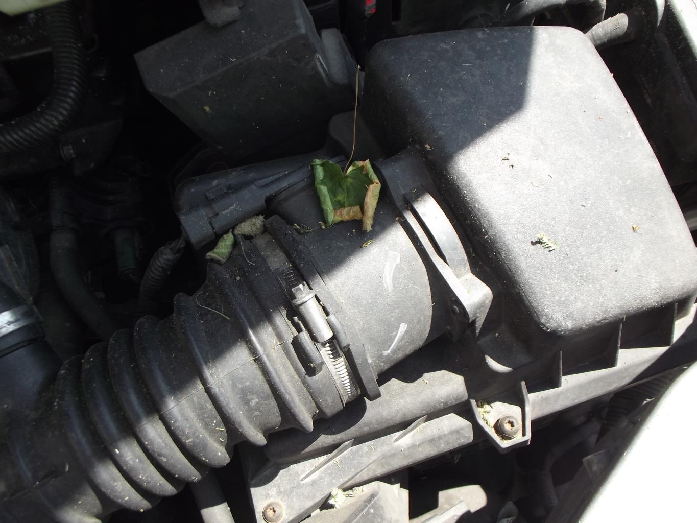 Debitmetre FORD C-MAX 1 PHASE 1 Diesel - 1