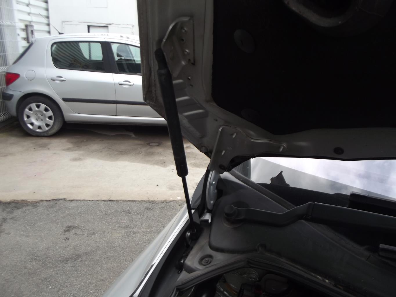 Verin de capot RENAULT GRAND ESPACE 4 PHASE 2 Diesel - 1