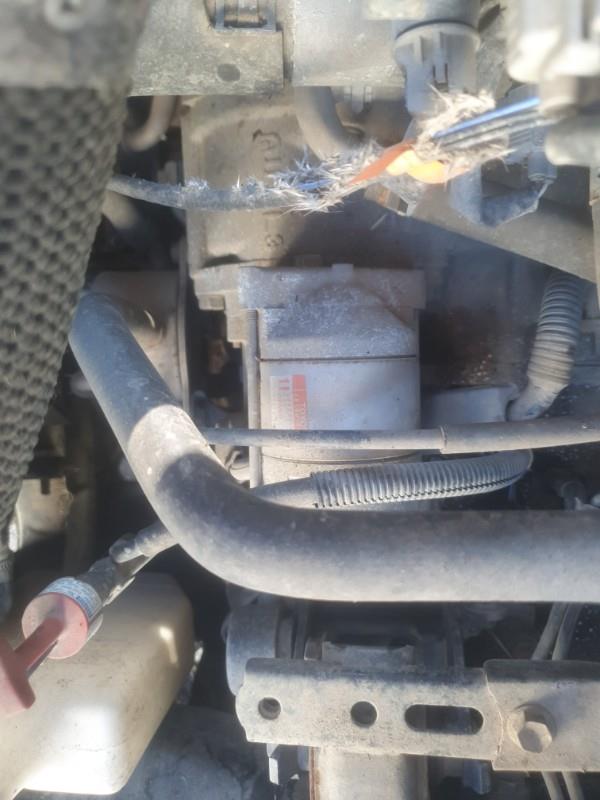 Demarreur TOYOTA RAV4 2 PHASE 2 Essence - 1