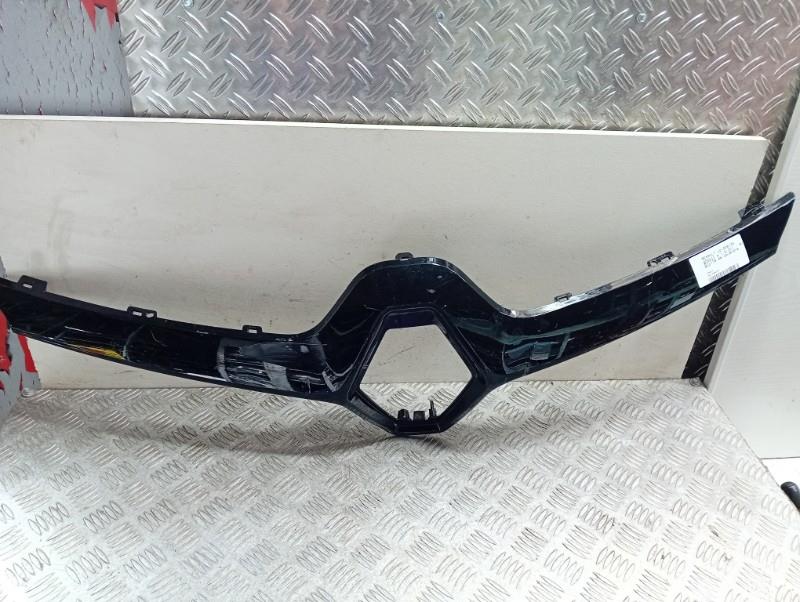 Grille de calandre RENAULT SCENIC 4 Diesel - 1