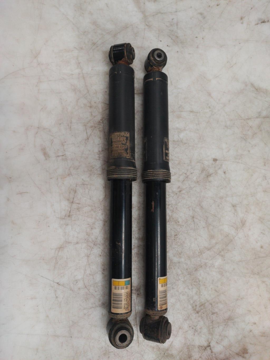 Ammortizzatori posteriori CITROEN C3 2  - 1