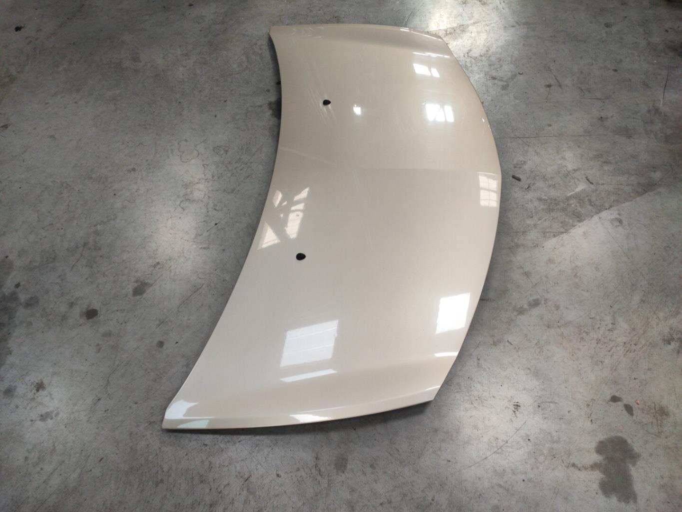 Capó RENAULT CLIO 3 PHASE 1 Diésel - 1