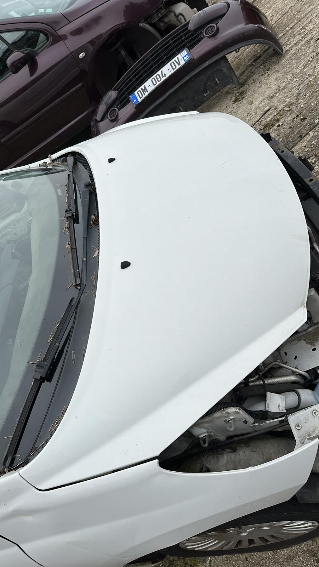 Capot PEUGEOT 207 PHASE 2 Diesel - 1