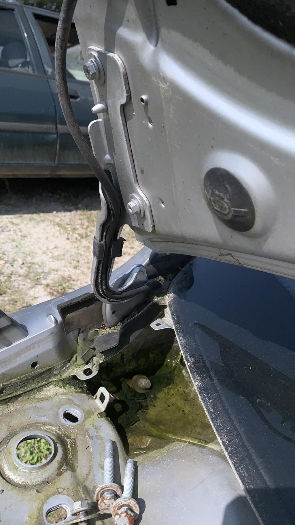Capot RENAULT CLIO 3 PHASE 2 BREAK Diesel - 1