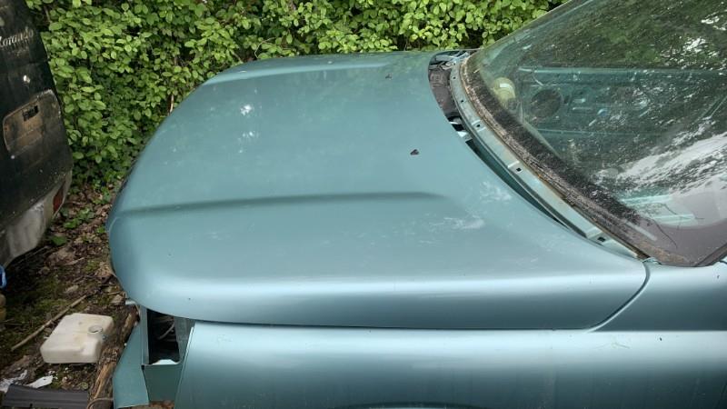 Capot LAND ROVER FREELANDER 1 PHASE 1 Diesel - 1