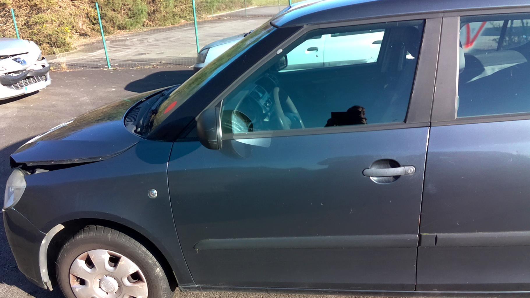 Porte avant gauche SKODA FABIA 2  - 1