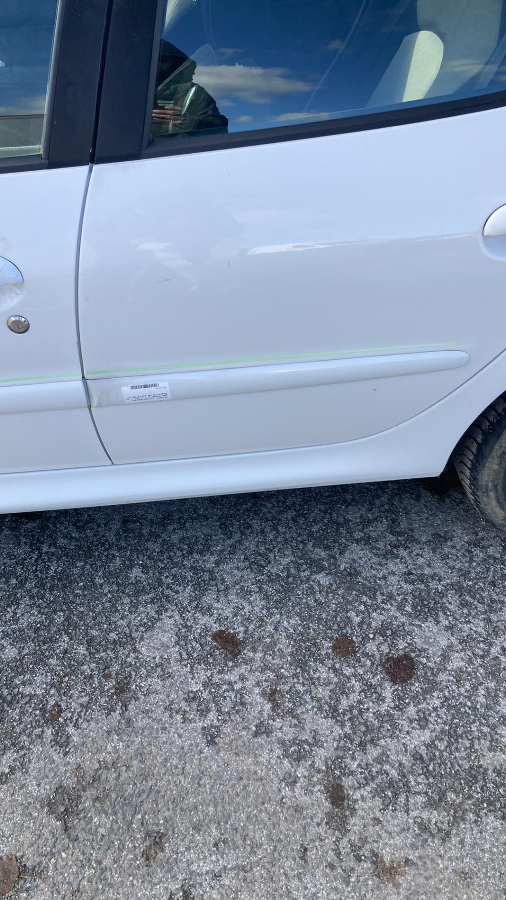 Modanatura portiera posteriore sinistra  PEUGEOT 206 PHASE 2 Diésel - 1