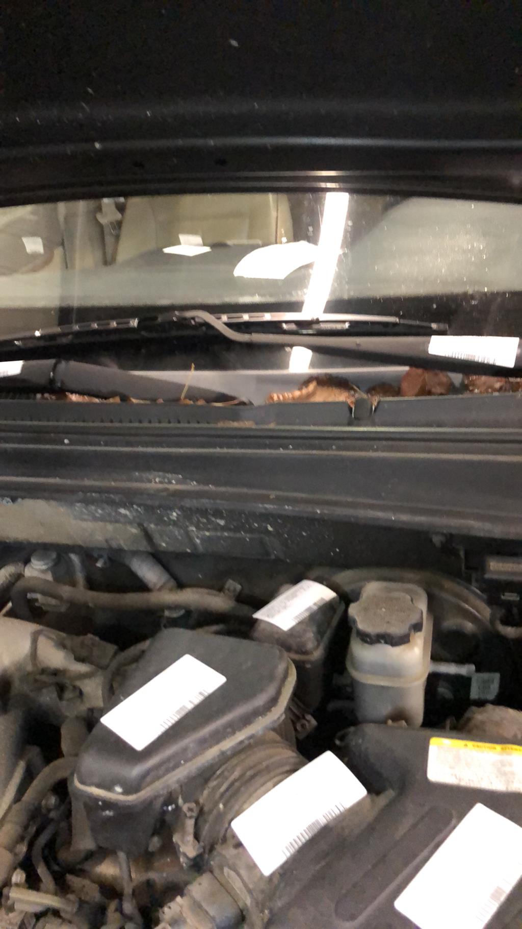 Quadro parabrezza HYUNDAI SANTA FE 2 PHASE 1 Gasolina - 1