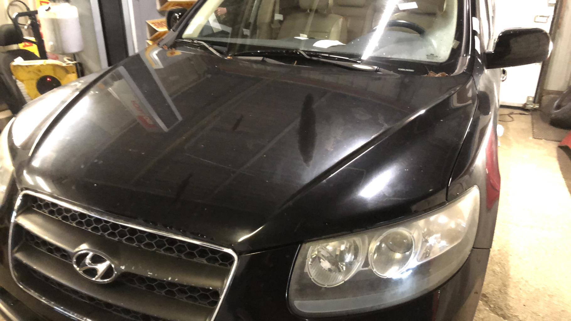 Cofano HYUNDAI SANTA FE 2 PHASE 1 Gasolina - 1