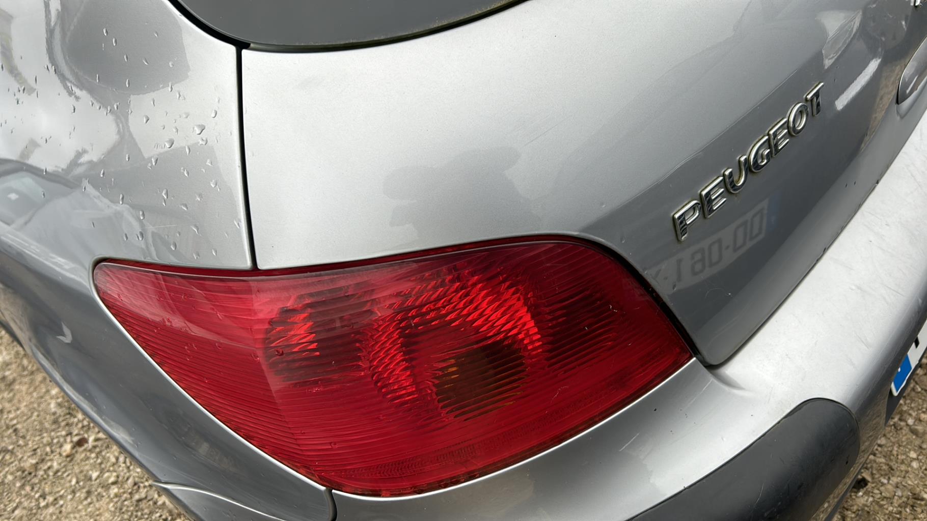 Fanale posteriore principale sinistro (luci) PEUGEOT 307 PHASE 1  - 1