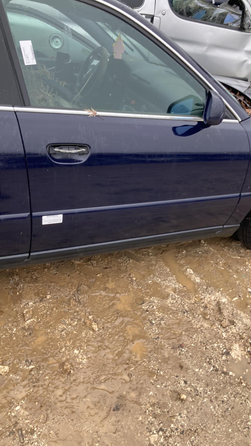 Modanatura portiera anteriore destra AUDI A4 1 PHASE 2  - 1