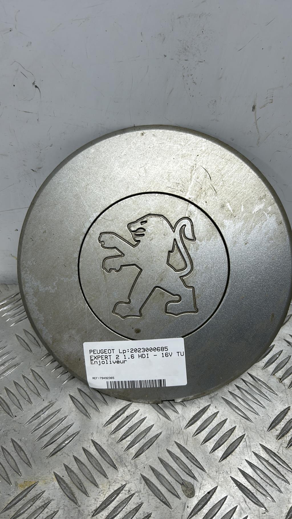 Borchia PEUGEOT EXPERT 2 Diésel - 1