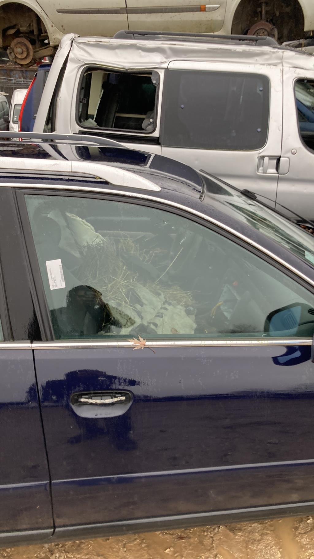 Vetro anteriore destro AUDI A4 1 PHASE 2  - 1