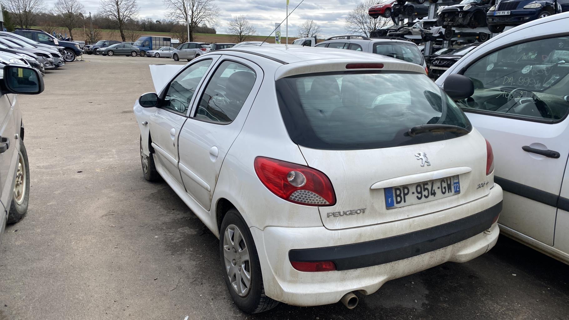Portiera posteriore sinistra PEUGEOT 206+ Diésel - 1