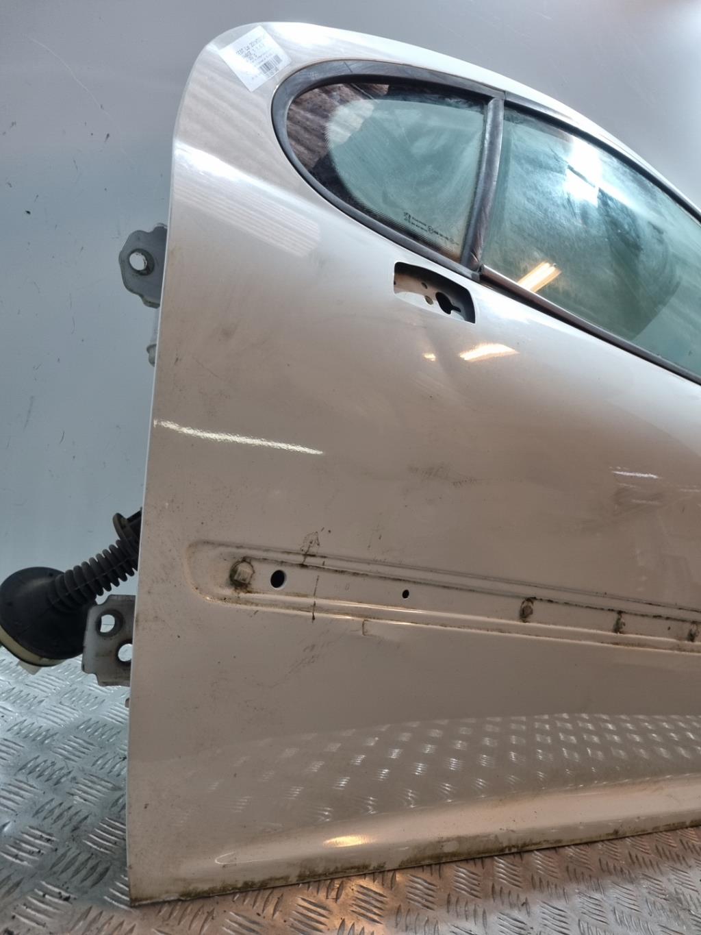 Portiera anteriore sinistra PEUGEOT 207 PHASE 1  - 1