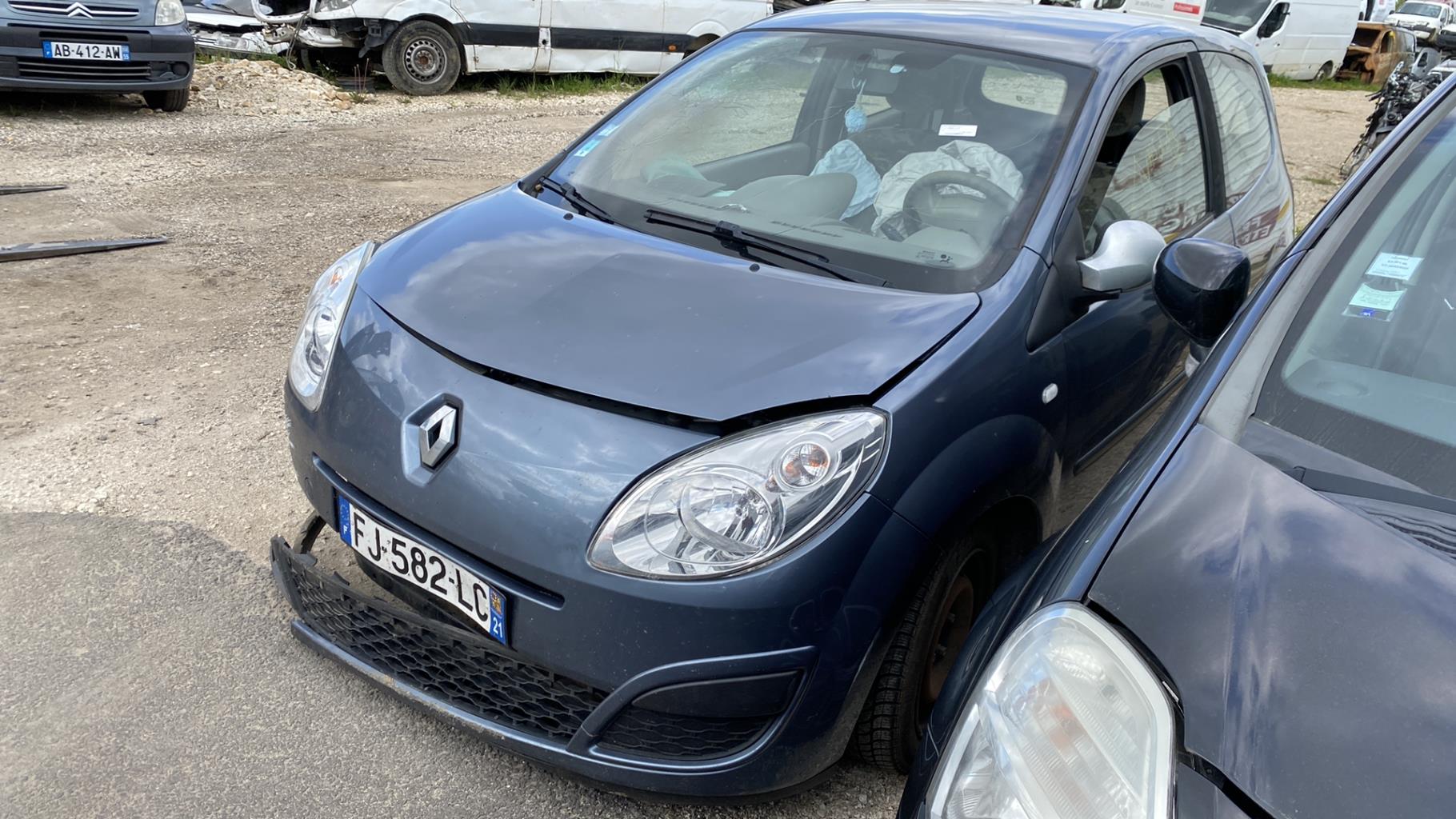 Pannello portiera anteriore sinistro RENAULT TWINGO 2 PHASE 1 Diésel - 1