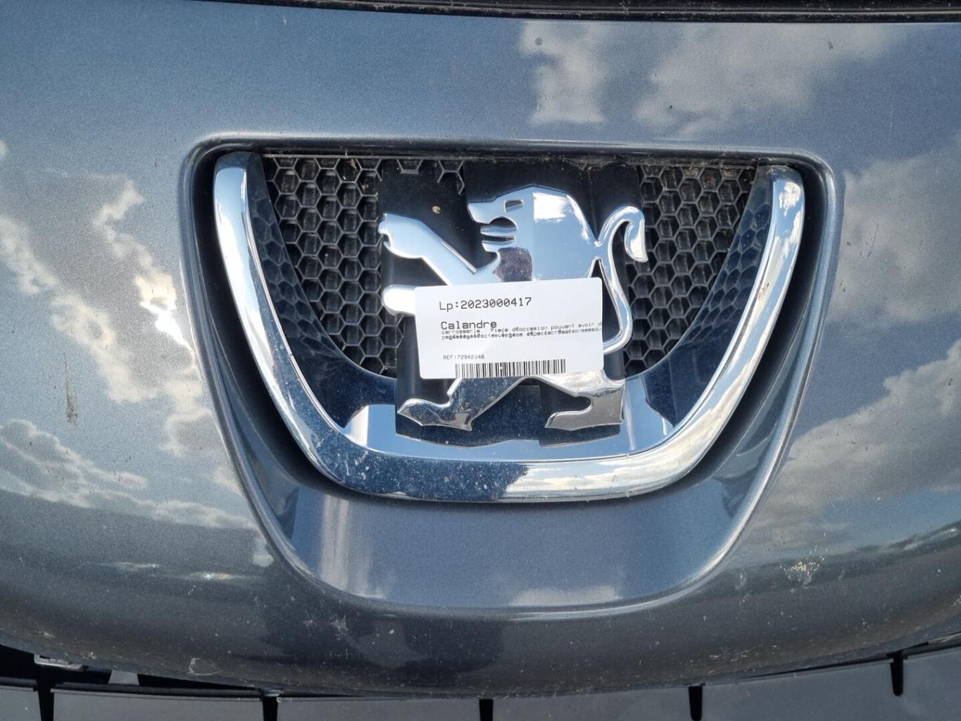 Logo PEUGEOT 207 PHASE 2 BREAK Diesel - 1