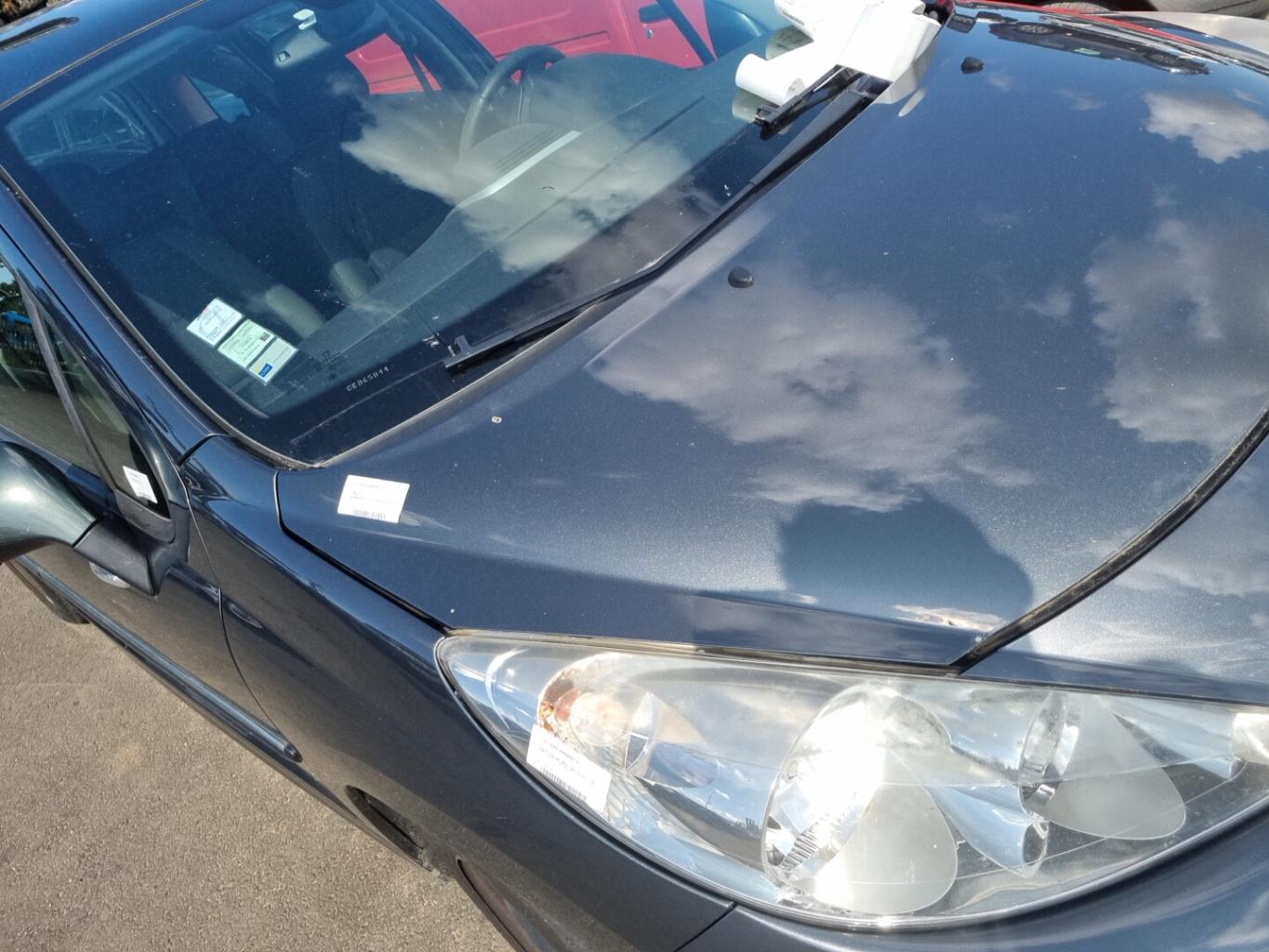 Cofano PEUGEOT 207 PHASE 2 BREAK Diésel - 1