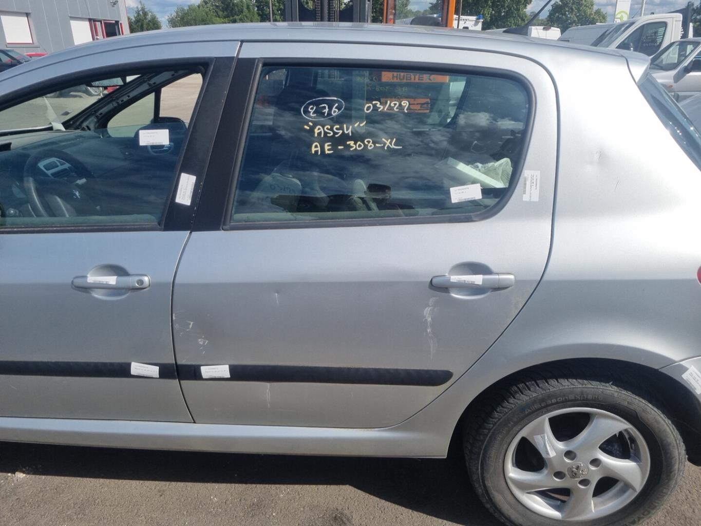 Portiera posteriore sinistra PEUGEOT 307 PHASE 2  - 1