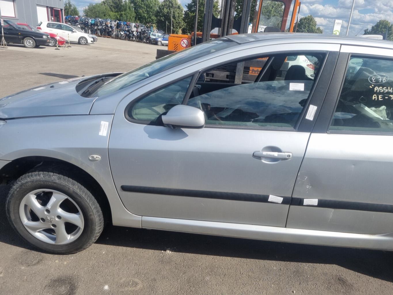 Portiera anteriore sinistra PEUGEOT 307 PHASE 2  - 1