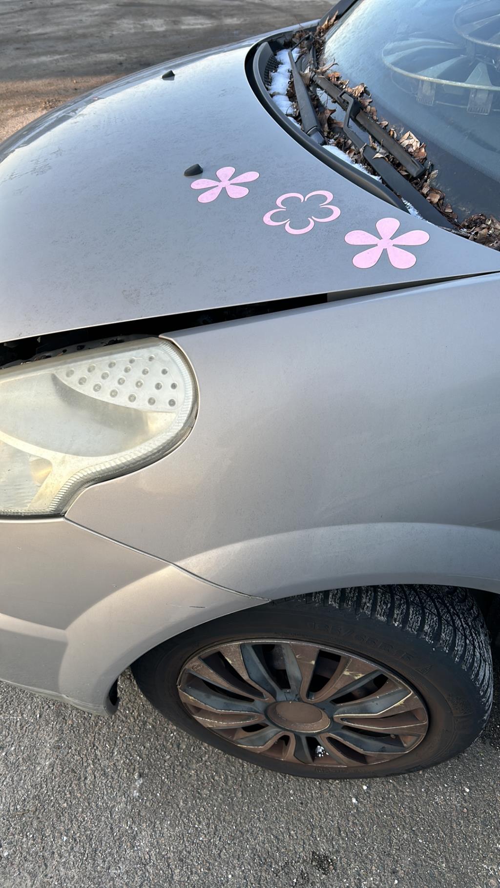 Parafango anteriore sinistro CITROEN C3 PLURIEL PHASE 1 CABRIOLET Diésel - 1