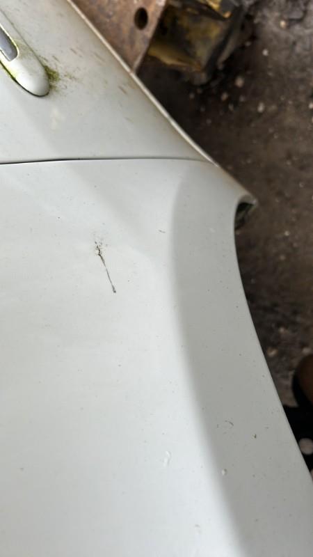 Parafango anteriore sinistro LANCIA MUSA PHASE 2 Diésel - 1
