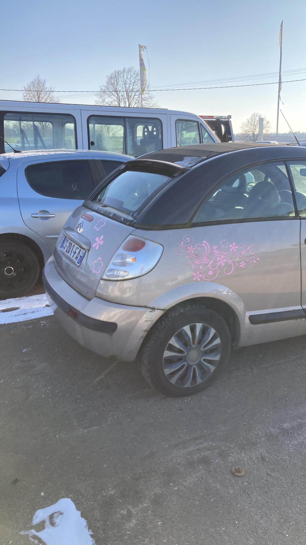 Cofano CITROEN C3 PLURIEL PHASE 1 CABRIOLET Diésel - 1