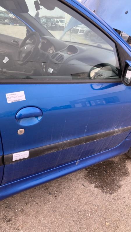 Modanatura portiera anteriore destra PEUGEOT 206 PHASE 2 Diésel - 1