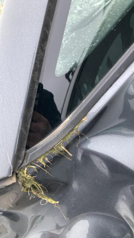 Vetro laterale fisso anteriore sinistro CITROEN C4 PICASSO 2 PHASE 1 Diésel - 1