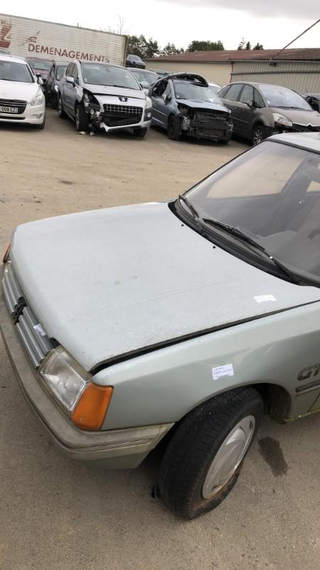 Cofano PEUGEOT 205 PHASE 2 Gasolina - 1