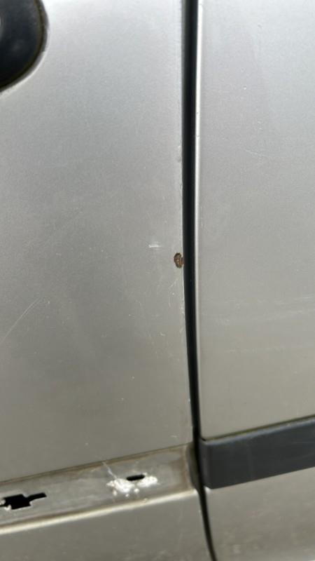 Portiera anteriore sinistra RENAULT CLIO 3 PHASE 1 Diésel - 1