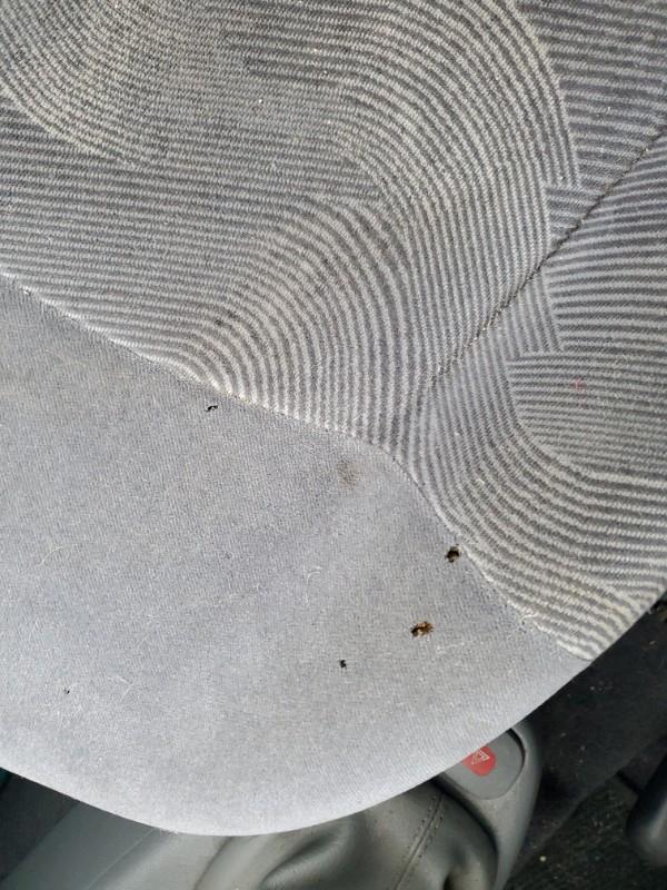 Siege avant droit RENAULT CLIO 2 PHASE 1 Essence - 1