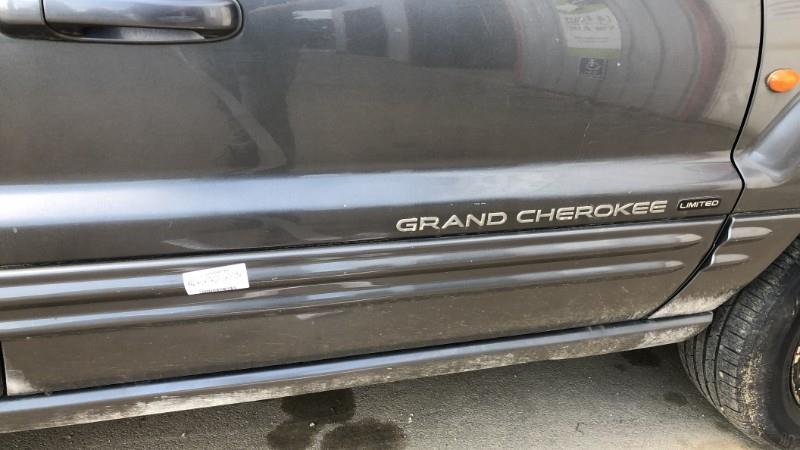 Modanatura portiera anteriore destra JEEP GRAND CHEROKEE 1 PHASE 2 Diésel - 1
