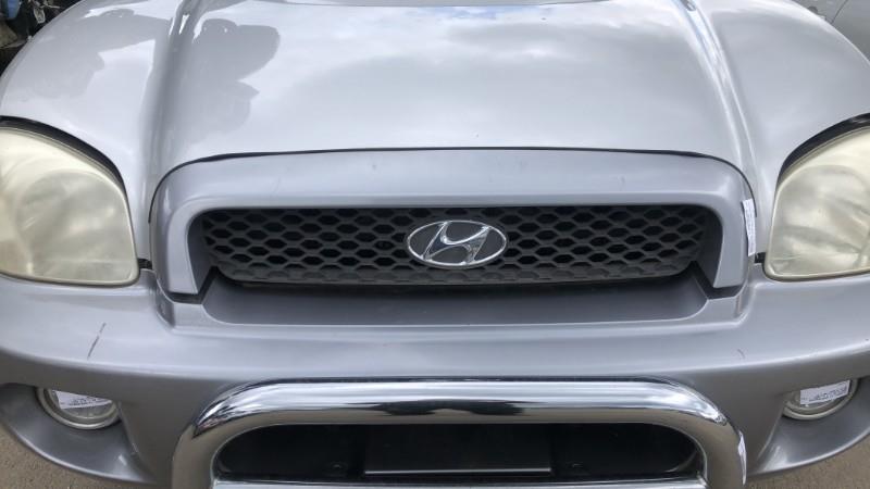 Calandra HYUNDAI SANTA FE 1 Diésel - 1