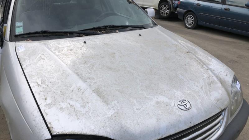 Cofano TOYOTA AVENSIS 1 PHASE 1 Gasolina - 1