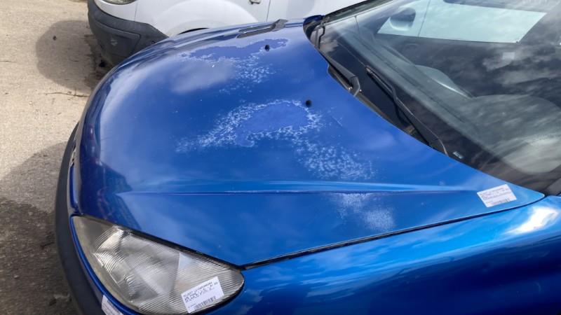 Capot PEUGEOT 206 PHASE 1 Essence - 1