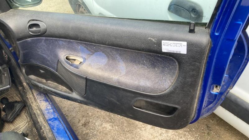 Pannello portiera anteriore destro PEUGEOT 206 PHASE 1 Gasolina - 1