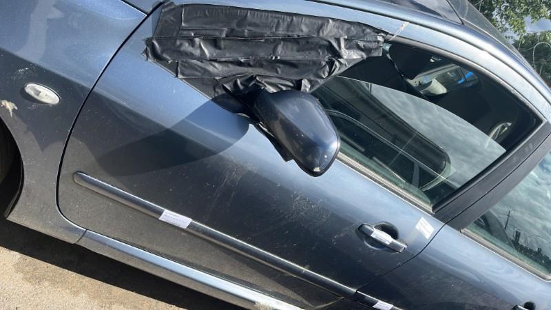 Portiera anteriore sinistra PEUGEOT 307 PHASE 2 Diésel - 1