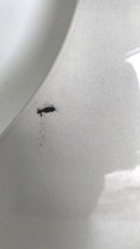 Photo de la pièce