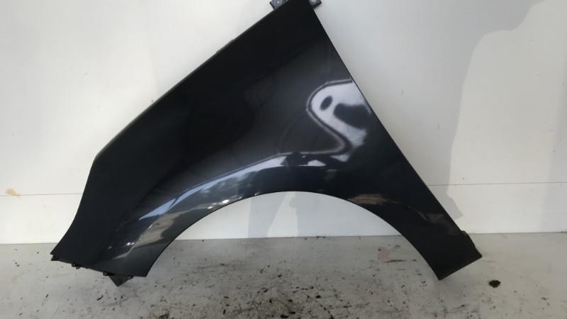 Aile avant gauche RENAULT SCENIC 3 PHASE 1 Diesel - 1