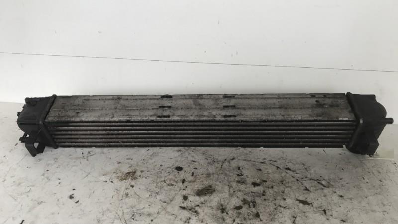 Echangeur air (Intercooler) RENAULT SCENIC 3 PHASE 1 Diesel - 1