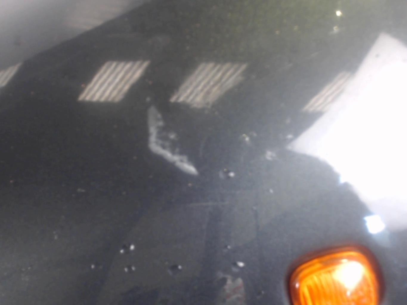 Aile avant gauche AUDI A4 1 PHASE 1 Essence - 1